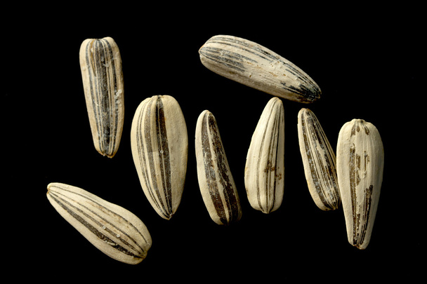 Біле насіння соняшнику на чорному
 - Фото, зображення