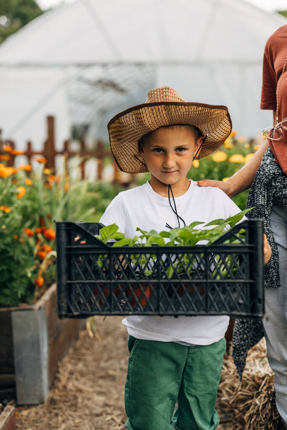 Front view of a young Caucasian boy carrying a crate with plants. - Photo, image