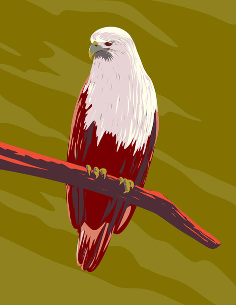 WPA-Plakatkunst eines brahminischen Drachen Haliastur indus oder eines Seeadlers mit rotem Rücken, der auf einem Ast hockt, von vorne betrachtet, in der Projektverwaltung oder im Art-Deco-Stil - Vektor, Bild