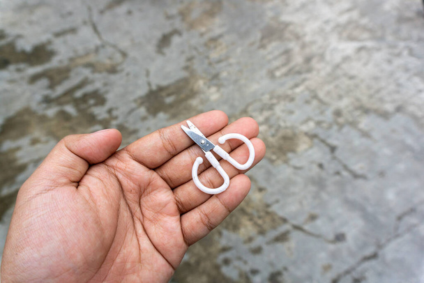 Malé nůžky na ruce pro dospělé. roztomilé malé nůžky pro děti hrát - Fotografie, Obrázek
