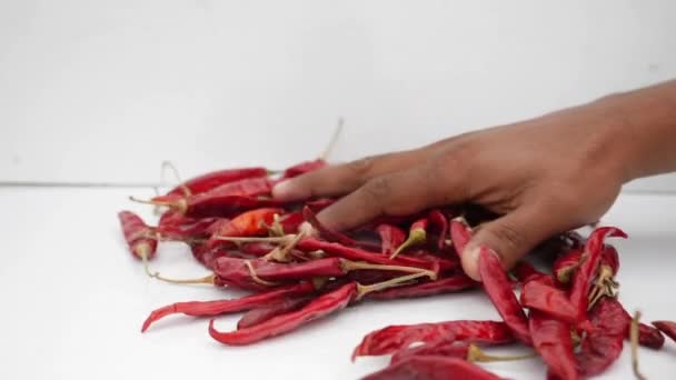 červené sušené chilli papričky v bílém pozadí - Záběry, video