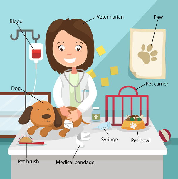The Idea of Female Veterinarian Curing the Dog with Related Voca - Vector, Image