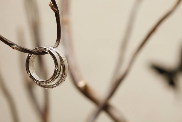 wedding rings on a tree branch - Фото, зображення