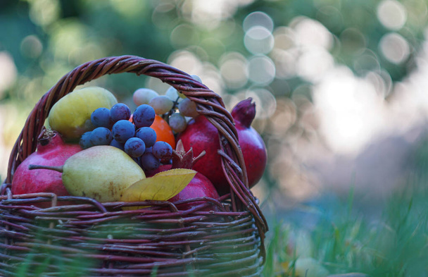                                   V košíku jsou různé druhy ovoce - Fotografie, Obrázek