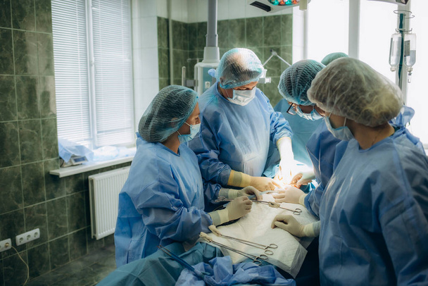 Surgical team performing surgery operation. Doctor performing surgery using sterilized equipment. Gynecologists and midwifes giving birth. Infant in maternity hospital. - Photo, Image