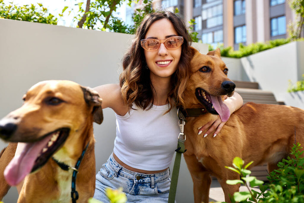 Ein junges, charmant lächelndes Mädchen ruht mit zwei goldenen Hunden auf einer Bank im Hof der Stadt. Das Mädchen umarmt ihre Haustiere. Liebe und Zuneigung zwischen Besitzer und Haustier. Ein Haustier aus dem Tierheim adoptieren - Foto, Bild