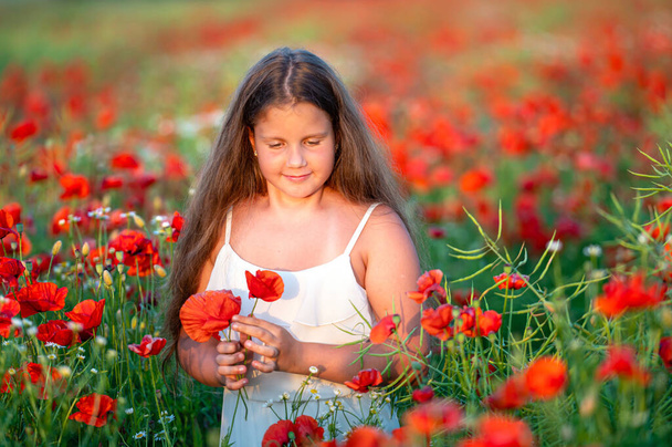 pretty little girl wearing white dress in summer blooming poppy field walking under evening sun - Zdjęcie, obraz