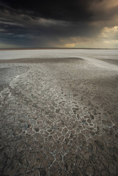 Broken dry soil in a Pampas lagoon, La Pampa province, Patagonia, Argentina. - Фото, изображение