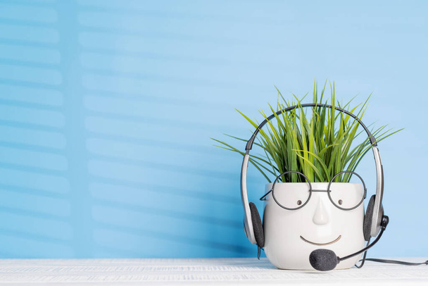 Φυτό σε γλάστρα που φορά ακουστικά σε γραφείο, τηλεχειριστήριο ή γραφείο εργασίας, με χώρο αντιγραφής - Φωτογραφία, εικόνα