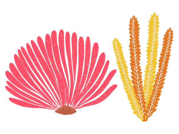 Rośliny rafy koralowej kolorowe natura ilustracja elementy doodle izolowane na białym tle - Zdjęcie, obraz