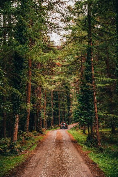 An off-road car traveling on a dirt road through a lush forest. 4x4 expedition in nature and adventure travel concept - Photo, Image