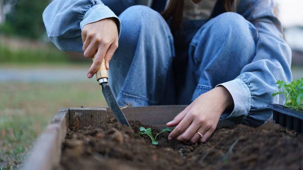 Mujer joven usando paleta para cultivar plántulas vegetales en el suelo en la parcela de verduras en frente de casa. - Foto, Imagen