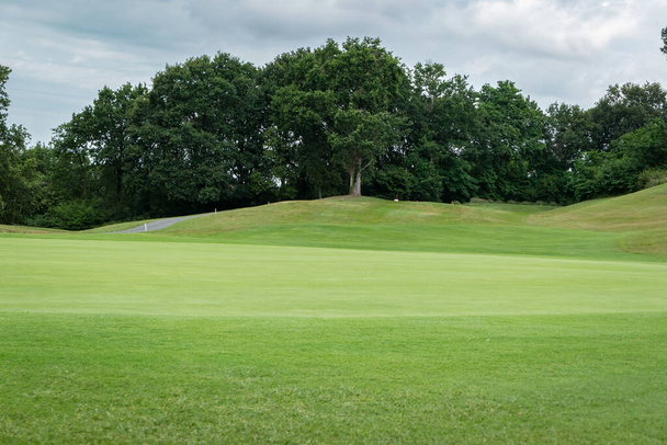 Groene grazige golfbaan met wat bomen op de achtergrond op een zeer bewolkte dag - Foto, afbeelding