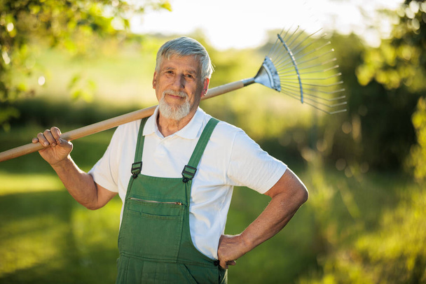 Senior gardener gardening in his permaculture garden - holding a spade - Photo, Image