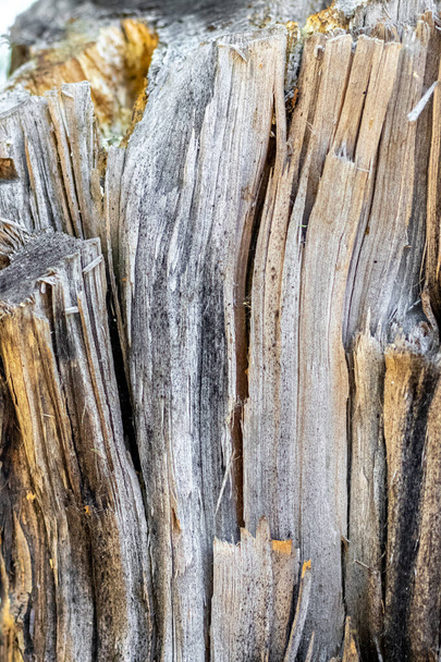 Textura de madeira com grandes fissuras longitudinais para design - Foto, Imagem