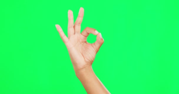 Dobrze, ok znak i ręka osoby na zielonym ekranie dla wsparcia, OK emoji lub umowy. Ręce modelki, aby pokazać ikonę lub symbol recenzji, opinie i tak głos lub porozumienie na tle studia. - Materiał filmowy, wideo