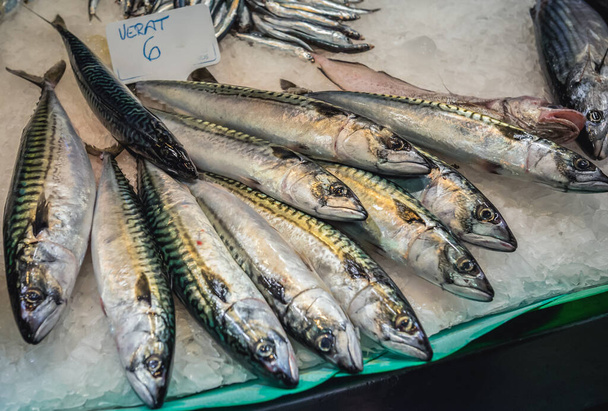 Fische zum Verkauf auf dem Mercat de Sant Josep de la Boqueria Lebensmittelmarkt in Barcelona, Spanien - Foto, Bild