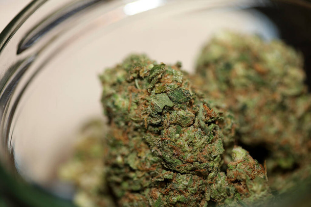 Close up van Jack Herrer medicinale marihuana toppen detail van cannabis op glazen pot onkruid achtergronden groot formaat hoge kwaliteit instant print - Foto, afbeelding