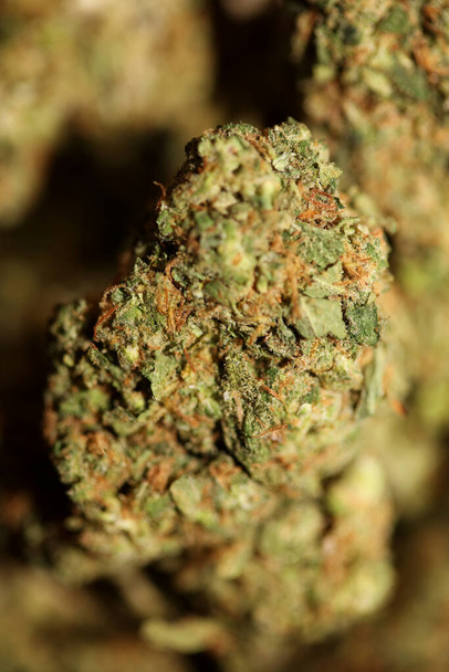 Közelkép Jack Herrer orvosi marihuána bimbók részletei cannabis üvegedényben fű hátterek nagy méret kiváló minőségű azonnali nyomtatás - Fotó, kép