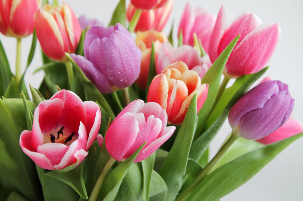 Tulips bouquet - Photo, Image