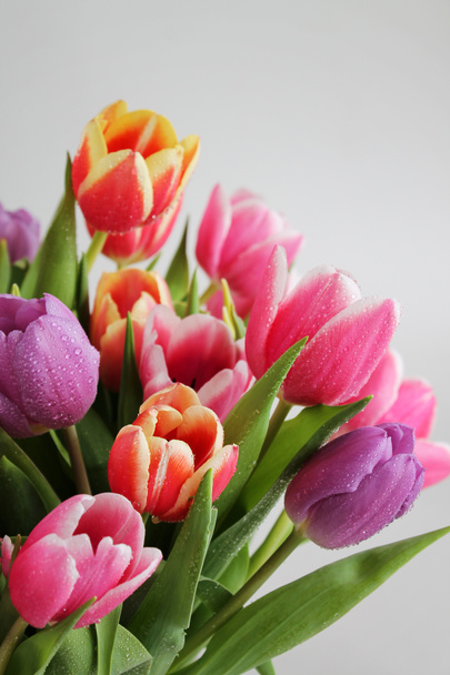 Buquê de tulipas
 - Foto, Imagem