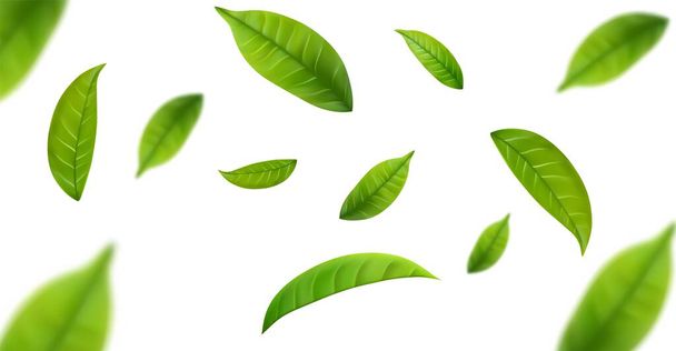 Ρεαλιστικά φύλλα πράσινου τσαγιού σε κίνηση σε λευκό φόντο. Ιστορικό με ιπτάμενα πράσινα φύλλα άνοιξη. Εικονογράφηση διανύσματος - Διάνυσμα, εικόνα