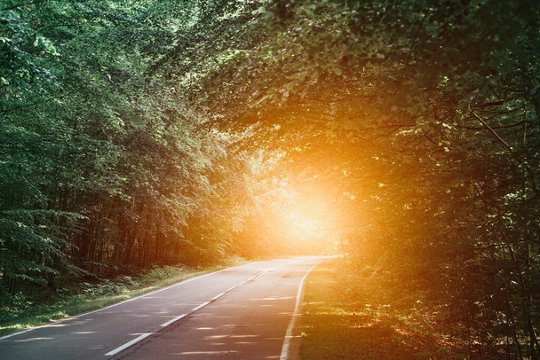 Landscape with empty asphalt road through woods in summer. Beautiful rural asphalt road scenery. Beautiful roadway. Trees with green foliage and sunny sky. - 写真・画像