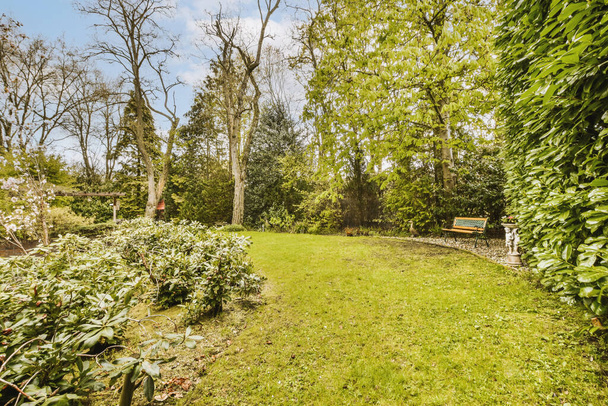 una zona de patio trasero con muchos árboles y arbustos en primer plano foto tomada el 26 de abril de 2014 por David Scott - Foto, Imagen