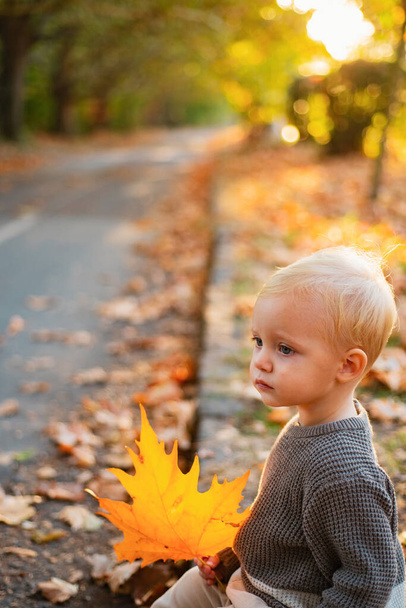 Warmth and coziness. Happy childhood. Sweet childhood memories. Child autumn leaves background. Warm moments of autumn. Toddler boy blue eyes enjoy autumn. Small baby toddler on sunny autumn day. - Foto, Imagen