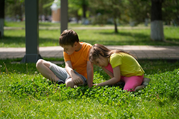 Çocuklar, bir erkek ve bir kız, çimenlerde oturup yoncadan 4 yaprak arıyorlar. Şehir parkında çocuk eğlencesi. Yüksek kalite fotoğraf - Fotoğraf, Görsel