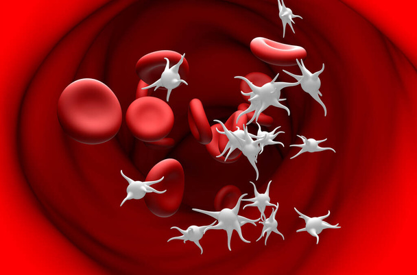 Essential thrombocythemia (ET), overproduction of platelets (thrombocytes) - section view 3d illustration - Photo, Image