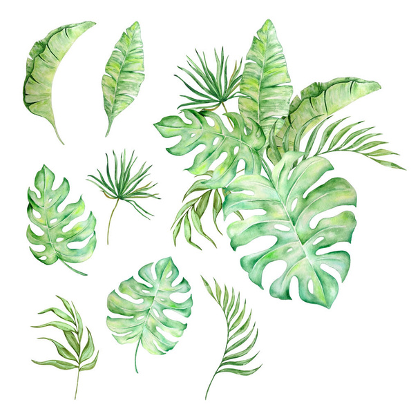 Watercolor bouquet of bright tropical leaves for design - Photo, Image