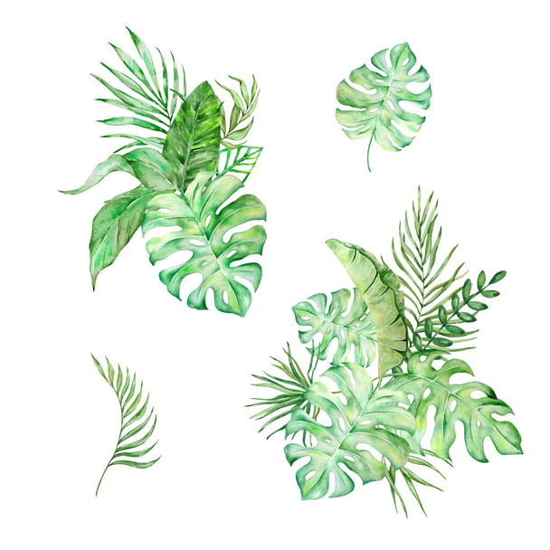 Akvarel kytice z jasných tropických listů pro design - Fotografie, Obrázek
