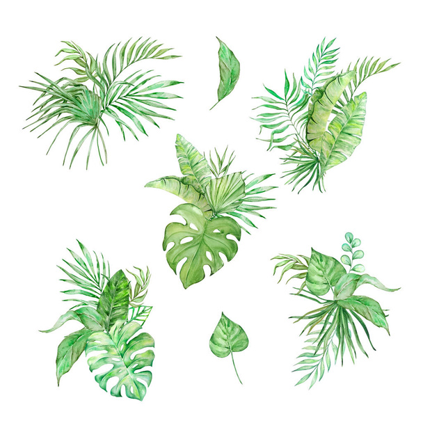 Aquarel boeket van heldere tropische bladeren voor ontwerp - Foto, afbeelding