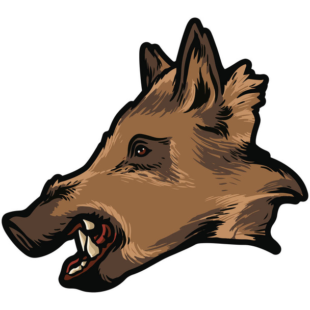 head of wolf, vector illustration  - Vecteur, image