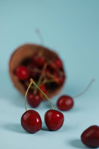 ripe summer sweet cherries of red-burgundy color in a coconut shell on a blue light background. for flyers labels screensavers and more - Photo, Image