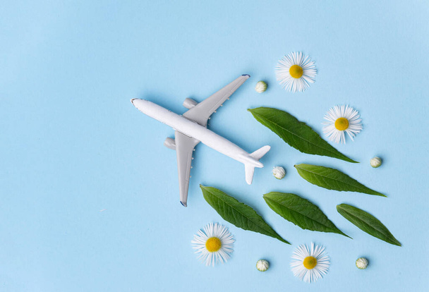 Combustível de aviação sustentável. Modelo de avião branco, folhas verdes frescas no fundo azul. Energia limpa e verde, biocombustível para a indústria da aviação. - Foto, Imagem