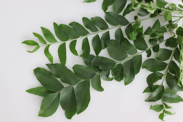 Curry leaves are the foliage of the curry tree or Murraya koenigii. They are highly aromatic and have a unique flavor with notes of citrus. They are used for medicinal and culinary applications. - Fotoğraf, Görsel