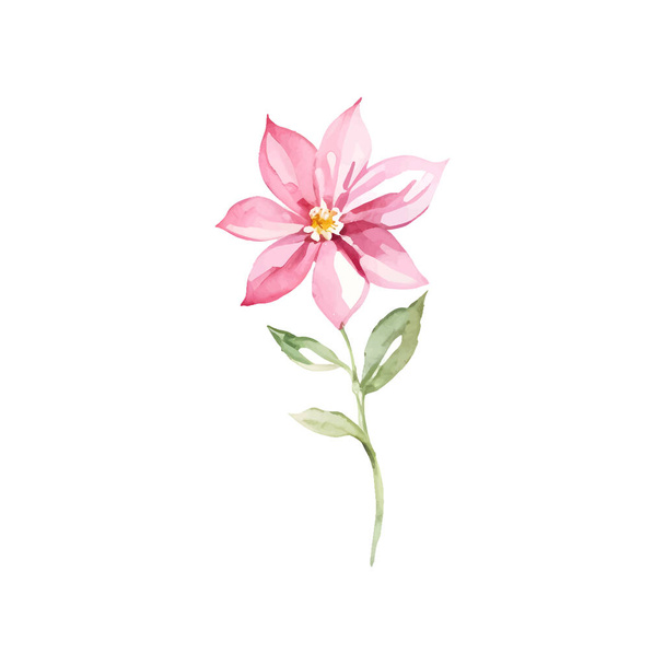 Watercolor pink flower, simple delicate wildflower isolate vector. Vector illustration - Вектор, зображення