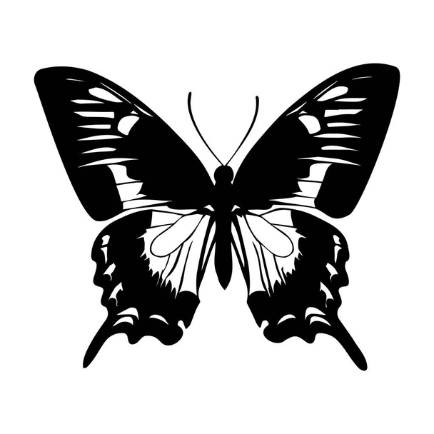 Real Butterfly Silhouette isolated on white background. Vector illustration - Vektör, Görsel