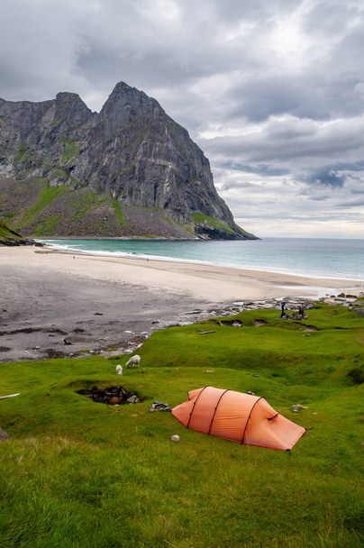 Sandy beach surrounded by mountains and orange tourist tent - Kvalvika Beach, Lofoten, Norway - Фото, изображение