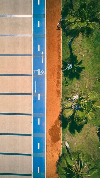 Pista ciclabile e passerella sul terrapieno. Vista aerea dall'alto verso il basso di palme, passerella e pista ciclabile - Foto, immagini