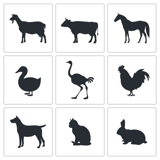Pets, animals icon collection - Vector, Image