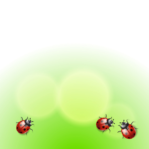 Green background with ladybirds - Vector, Imagen