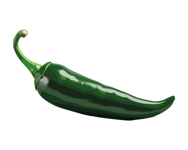 chili poivre légumes, mûrs et plein de saveur icône isolé - Vecteur, image