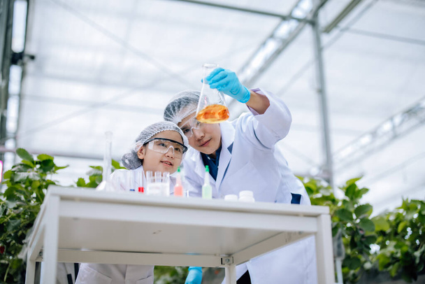 Junior scientists learn to observe color of solutions in test tubes with curiosity. Testing, experimenting, classifying, comparing, analyzing data from practical strawberry horticulture experience. - 写真・画像
