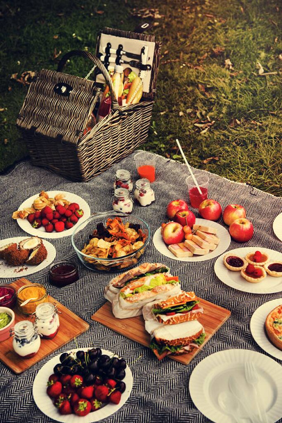 Picnic Lunch Meal Outdoors Park Food Concept - Photo, Image