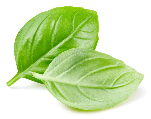Two green basil leaves on a white background with clipping path. - Фото, зображення