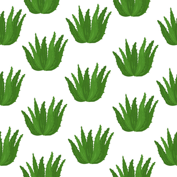 Ilustración natural de Aloe vera con letras dibujadas a mano de Aloevera. - Vector, Imagen