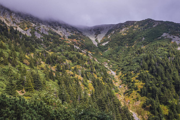 Couloir du Rudny Stream sur la montagne Sniezka dans les montagnes de Karkonosze, République tchèque - Photo, image